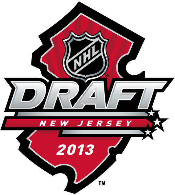 NHL Draft 2013 Primary Logo iron on transfers for clothing